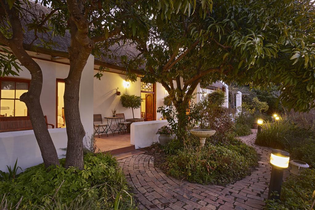Yellow Aloe Клануильям Экстерьер фото