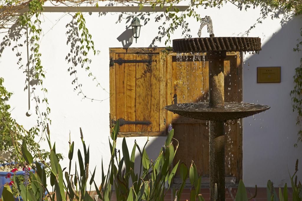 Yellow Aloe Клануильям Экстерьер фото